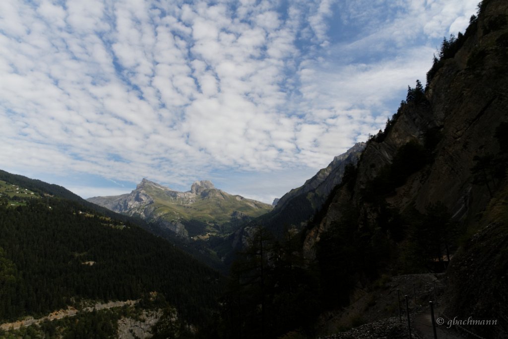 20140904_0054